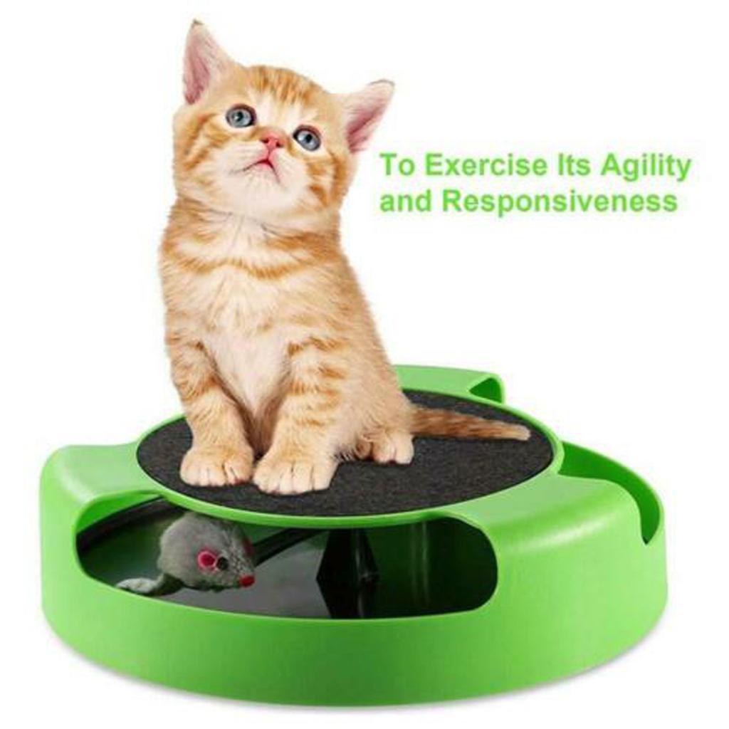 Catch The Mouse Moving Toy Interactive Plush Scratching Mat