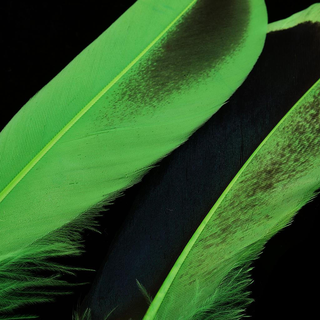50 Piece 135mm Colorful Wild Duck Feather for Clothing Costume Decoration