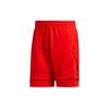 Basketball Shorts Men's Bright Pink FR5740