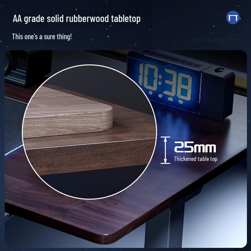 Loctek Black Warrior Max Electric Standing Desk