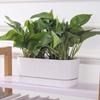 Double Layer Self Watering Flower Pot Plastic Flower Planter Hydroponics Plant Pot  Garden Supplies
