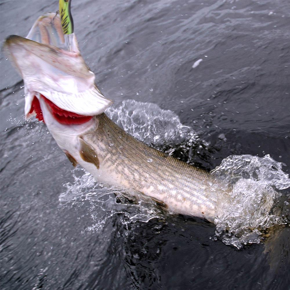 9cm 11g Topwater Plopper Lure Rotating Tail Hard Bait Floating Wobbler for Bass Pike Fishing