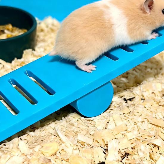 Hamster Seesaw Toy Cage Decoration Boredom Relief Small Animals Chinchilla Gerbil Rat Mouse Seesaw Exercise Toy Pet Supplies