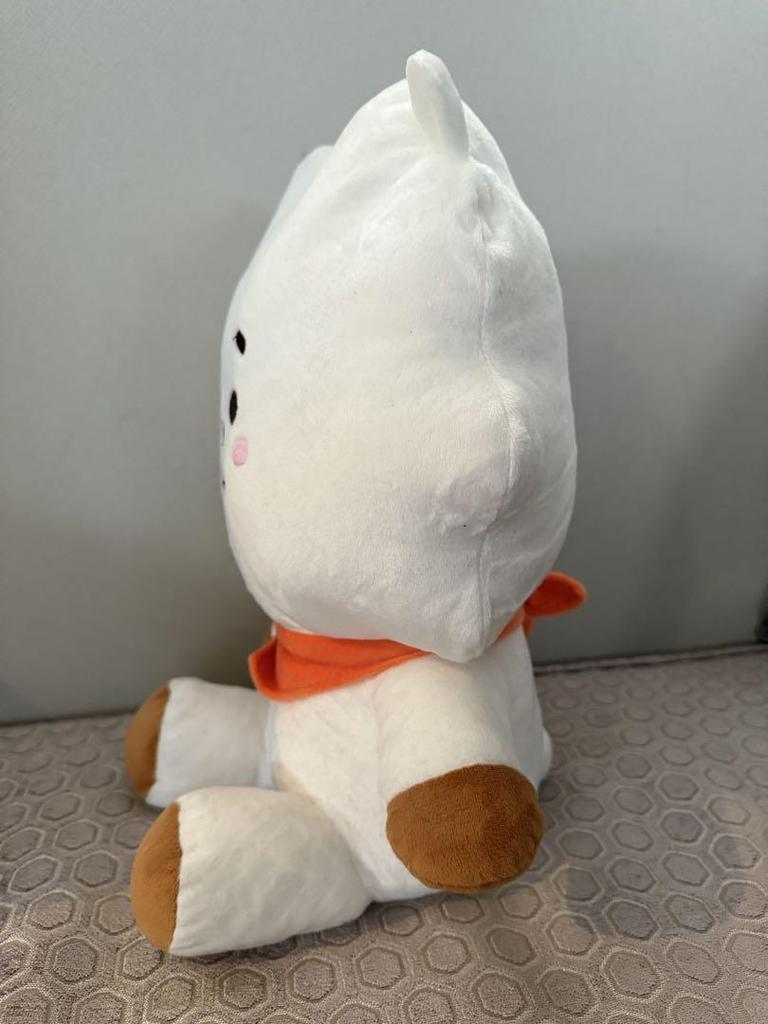 [USED] BT21 RJ Plush Toy L Jin BTS Jin