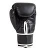 Everlast Core2 Boxing Gloves, Training Gloves, Sizes L and XL, Black [Parallel Import]