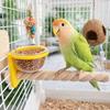 Paw Grinding Bird Feeding Cup Wear-resistant Bird Perch Stand  Pet Bird Supplies