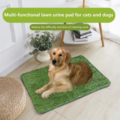 Haustier-Pipi-Matte, geruchsfrei, saugfähig, feine Verarbeitung, verschleißfeste Hundetrainingsunterlage für ein sauberes, komfortables Zuhause