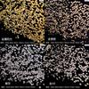 Nail Art Diamond 6 Grid Glass Flat Bottom Round Diamond Crystal Transparent Ab Mixed Color Large And Small Mixed Decoration