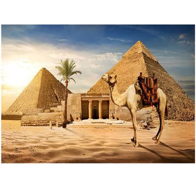 5D Diy Diamond Painting Desert Camel Diamond Embroidery Cross Stitch Home Decor Handmade Giftsjavascript:
