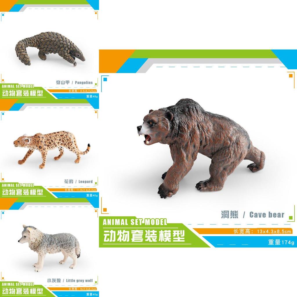 Bären Kinder Wildtier Sammlung PVC Figuren mit realistischem Design zum Lernen und Dekorieren