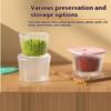 4Pcs Green Onion Fresh-Keeping Box With Lid Double-Layer Drainage Round Plastic Refrigerator Sealing Box Household