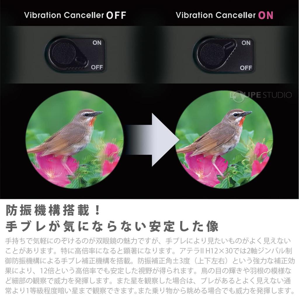 Vixen ATERA II H12×30 Binoculars Charcoal 12x Magnification
