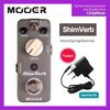 REECHO-Digital Delaying Single Effect for Electric Guitar