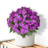 5 Stems Artificial Impatiens Flowers Bouquet for Outdoor UV Resistant Faux Silk Flowers for Outside Front Porch Garden Window Box Planter Decor