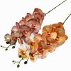 Latex Butterfly Orchid Flower 9 Heads Real Touch Artificial Phalaenopsis