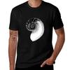 Spiral Out Seashell Minimalism Tshirt Casual Everyday Wear Tshirt