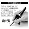 Platinum Fountain Pen Plaisir Fine Nib Green PGB-1000#41-2 - Elegant Writing Instrument