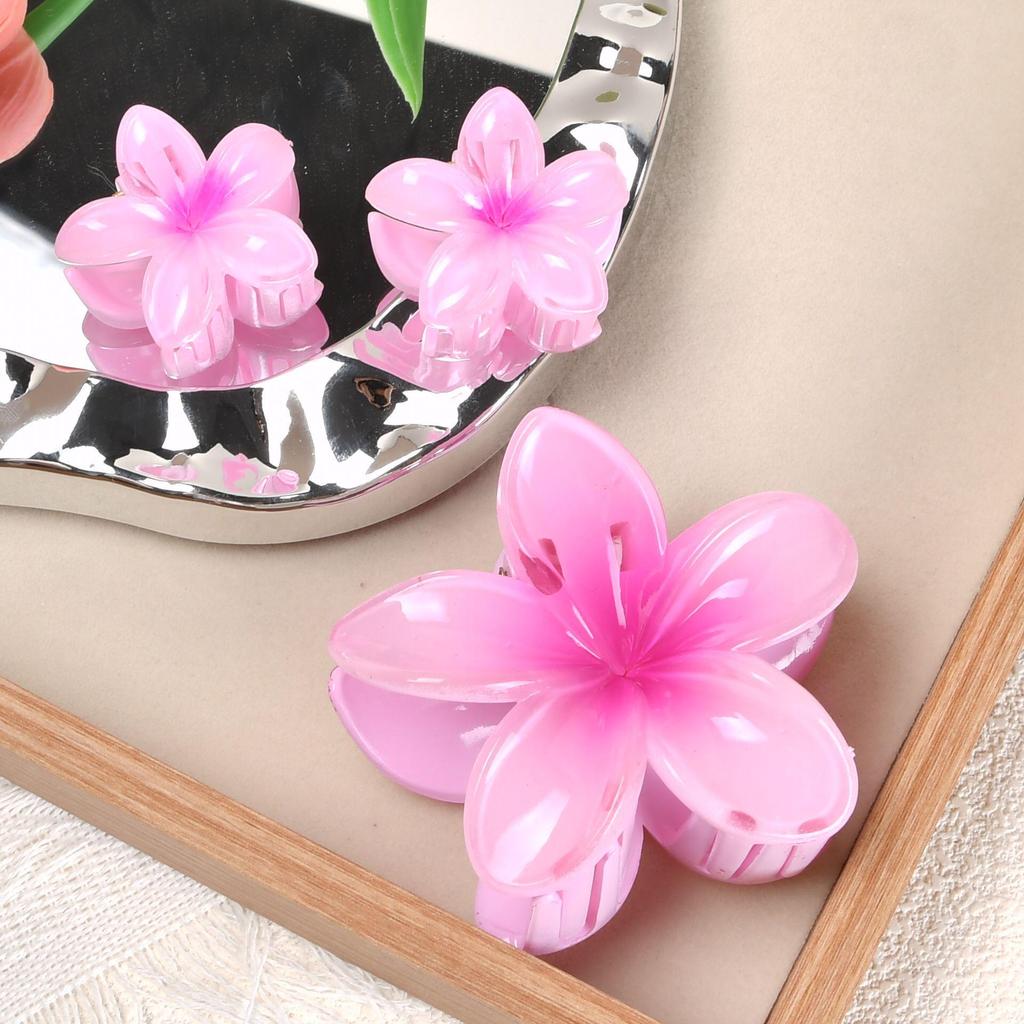 Gradient Plumeria Claw Clip Set: 18-Piece Floral Hair Accessories