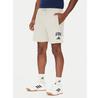 Adidas Collegiate Shorts