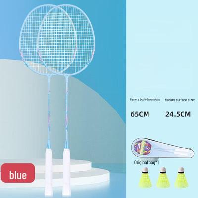 YTYIN Badminton-Schläger-Set für Erwachsene CN-Stecker (Adapter enthalten)
