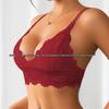 European & American Hot-selling Anti-sagging French Lace Double Strap Sexy Bra