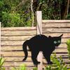 3 X Effaroucheurs Mentaux Pour Chats Arrêtez La Lutte Antiparasitaire Débarrassez-vous Des Parasites Effaroucheur De Jardin