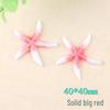 Starfish Resin Accessory Kit: Phone Case, Hair Clip, DIY Ocean Clog Patches