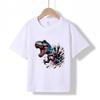Üst giysisi – T-shirtler