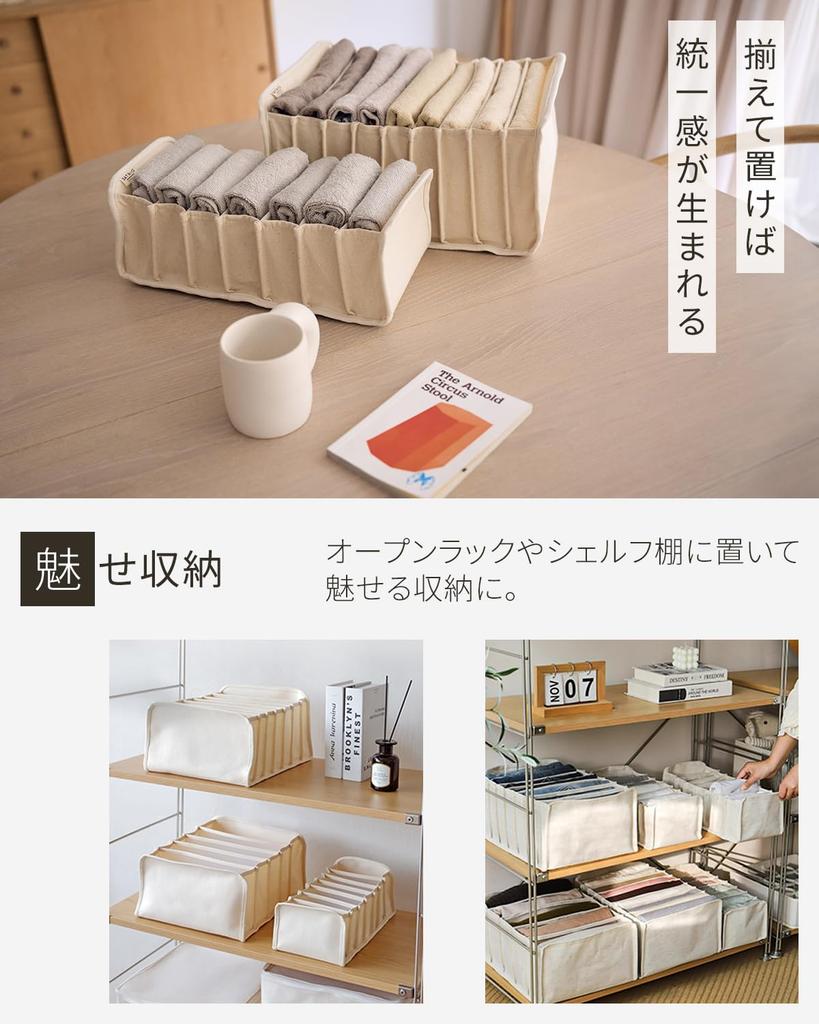 Von einem professionellen Kleideraufbewahrung Unterwäscheaufbewahrung Aufbewahrungskoffer, der als Innenraum Kleiderteiler Hosen Stilvolles Aufbewahrungsobjekt dient [Überwacht