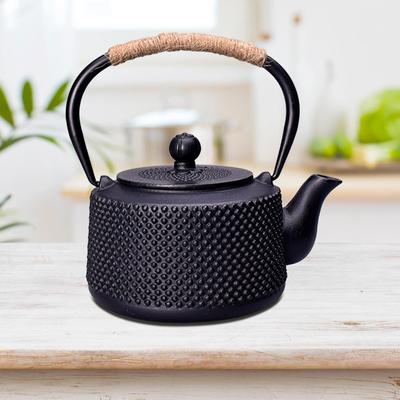 Iron Teapot for Boiling Water Tea Maker Kettle Hiking Camping