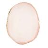 Resin Nail Art   Paint Drawing Color Dish Golden   Manicure Nail   Tool White
