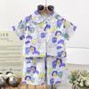 Children's Short-sleeved Short Pants And Shirt Set - Summer Boys' Casual Outfit