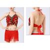 Lady Belly Dancer Costume Belly Dancing Sequins Bra Tops Lantern Pants Trousers Halloweem Performances Costume for Womens