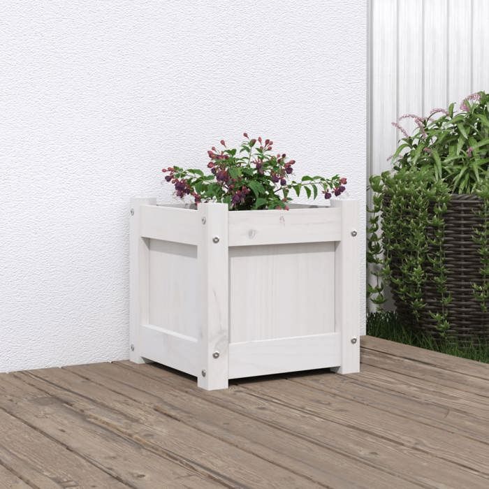 VidaXL Jardinière blanc 31x31x31 cm bois de pin massif 837396