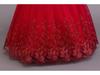 Long Sleeve Lace Princess Dress for Girls - Evening and Performance Wear