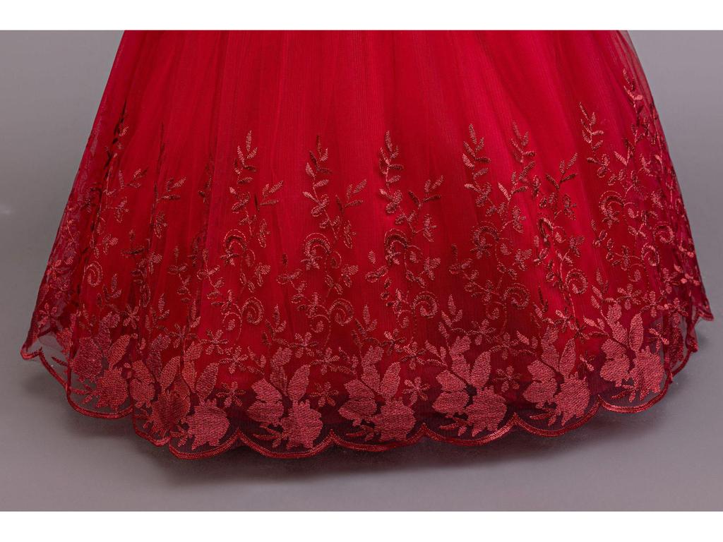 Long Sleeve Lace Princess Dress for Girls - Evening and Performance Wear