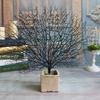 Plant Artificial Decorative Accessories Plastic Sea Trunk Branch Peacock Tree Coral Branch Sea Tree
