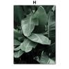 Tropical Plants Palm Leaves White Flower Wall Art Canvas Painting Nordic Posters And Prints Wall Pictures For Living Room Decor