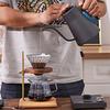 Smart Electric Gooseneck Kettle