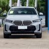 Compatible Gloss Black Tricolor Front Grille Stripe for BMW X6 G06 2019-2023, Single & Double Line Models