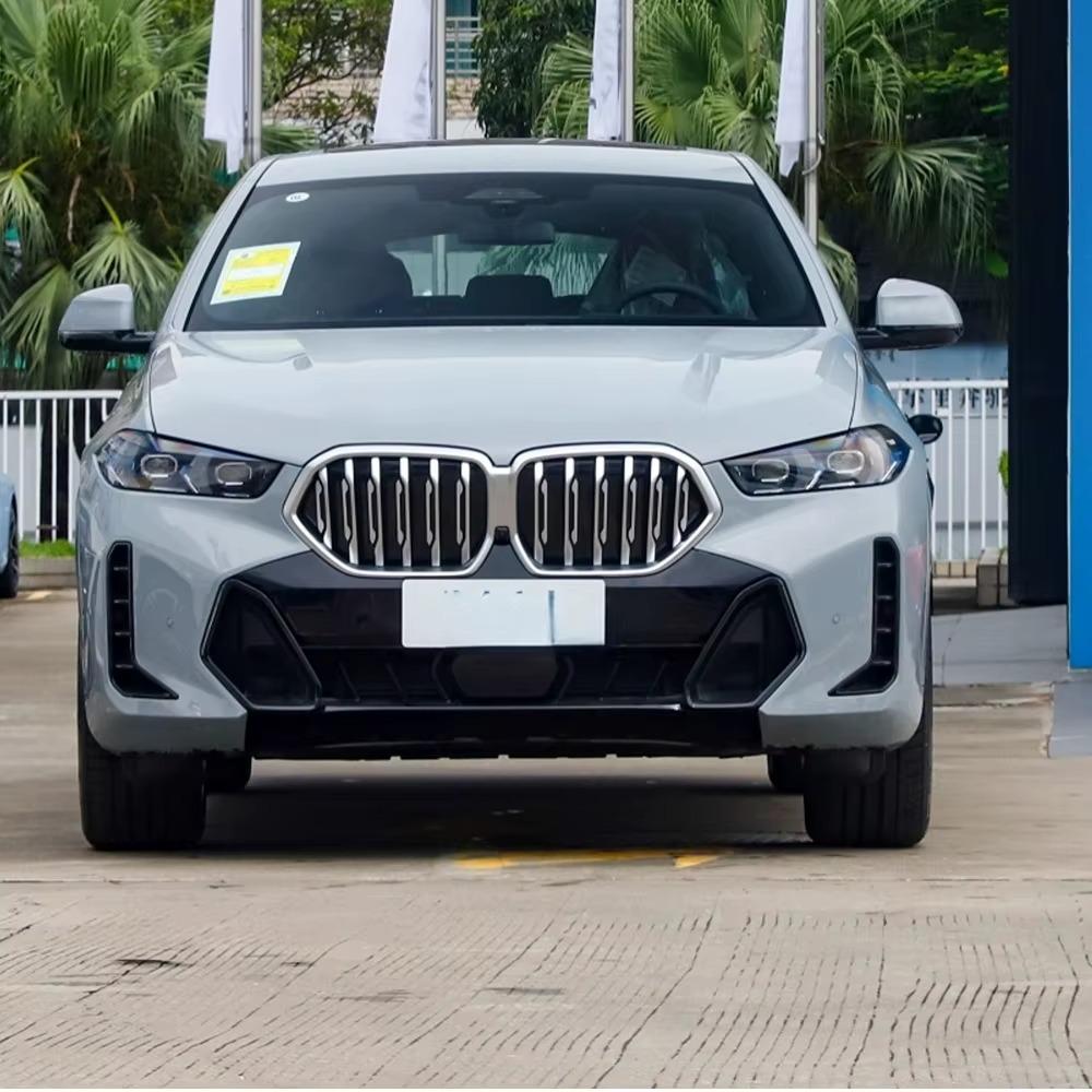 Compatible Gloss Black Tricolor Front Grille Stripe for BMW X6 G06 2019-2023, Single & Double Line Models