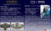 Yoshikawa Beer Double Diamond Tumbler 1 Polishing YJ2718 Tumbler, 370ml, (Gold-Plated Interior), Piece, Syndicate,