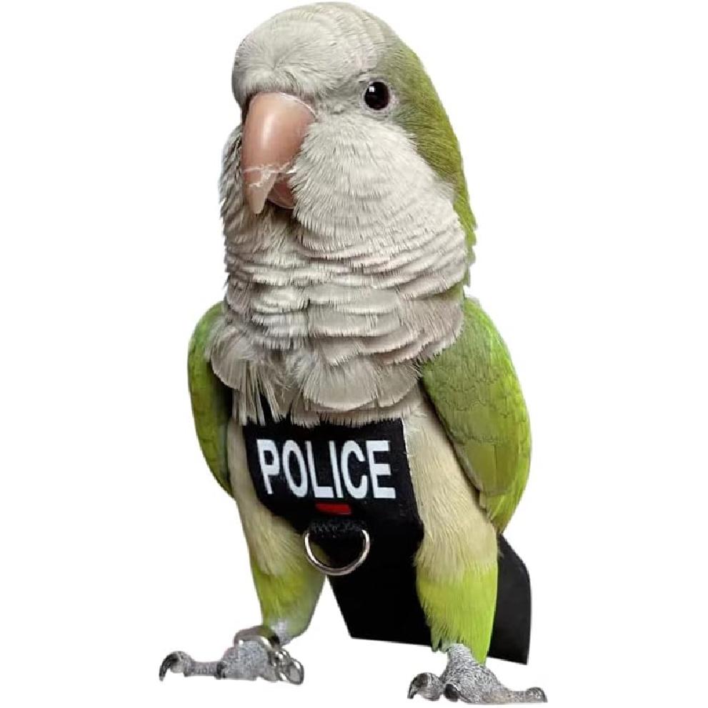 Bird Clothes Parrot Diapers Bird Flight Suits, Reble Waterproof Diapers pet Bird Supplies (2XL)