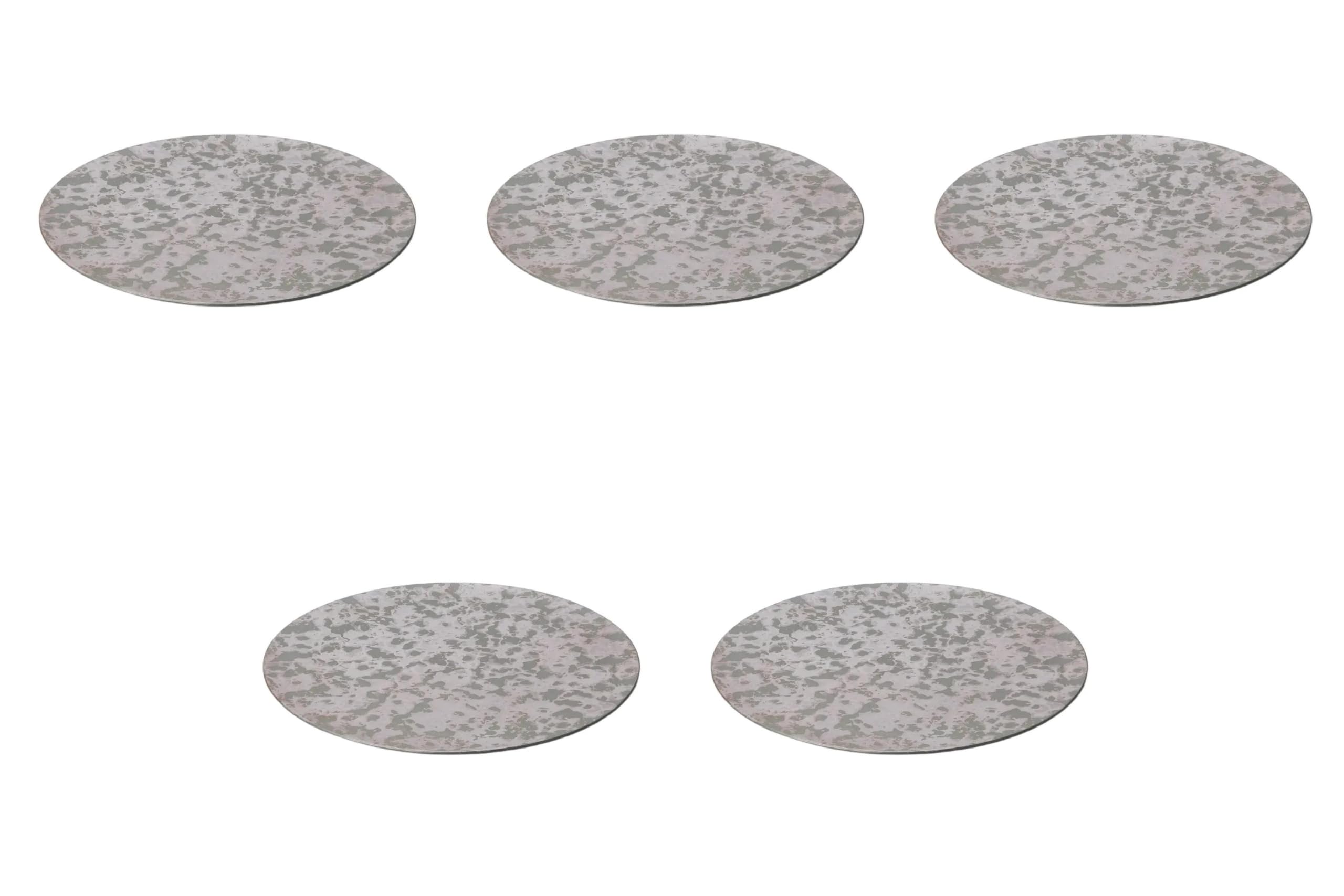 

Set of 5 Smoked Silver Tataki 29cm Round Plates Round Plates Setomonohonpo [29×1.5cm] (Large)