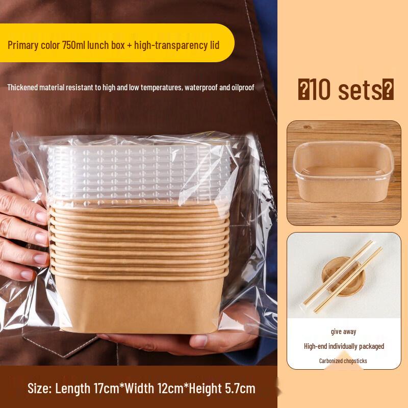 

Disposable Picnic Lunch Box