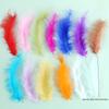 50-Piece Turkey Feather Pack – Pointed Tails & Bobball Feathers, Ideal for DIY Colorful Cat Accessories