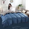 Winter White Goose Down Duvet Thickened Warmth Double Quilt Single Dormitory Quilt Large Soft and Comfortable Duvet