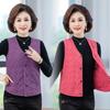 Autumn and Winter Vest German Velvet Silk Cotton Vest Old Warm Inner Wear Vest