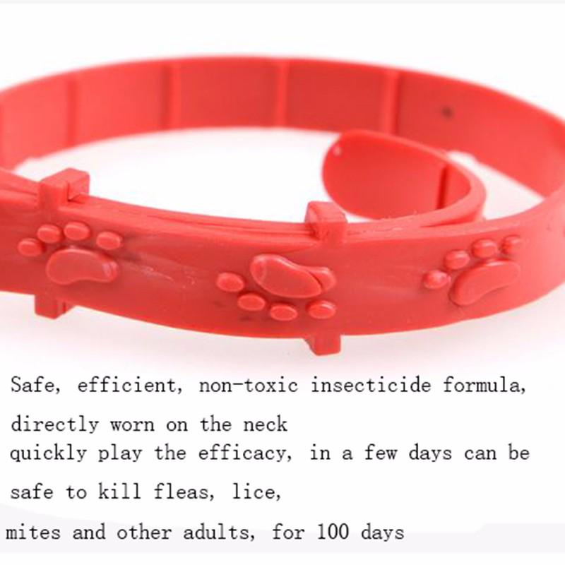 Image showcasing Buy Soft Cute Pet Outdoor Protection Long Lasting Silicone Kill Flea ...