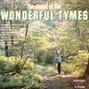 LP Record TYMES  Sound Of The Wonderful Tymes P7038 PARKWAY 196 US SoulFunk Used
